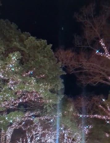 ☆夜の徘徊〜♪☆