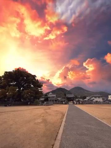 鶯谷　風鈴ゆれて　夏便り🌺