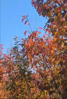 ☆小春日和〜♪☆