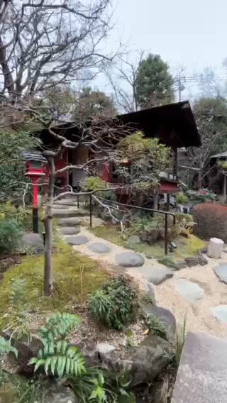 ブルーハーツ好き？