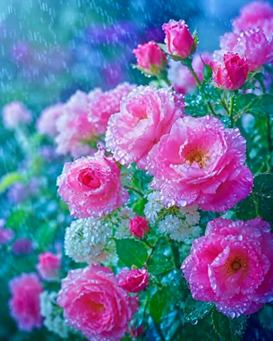 16日10時から19時貸し切り本指名O様✨🌷🌷✨