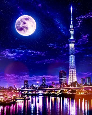 今宵の月のように🌕✨