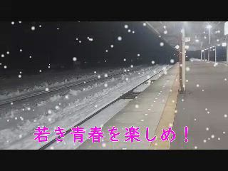 若き青春カップル応援します❤