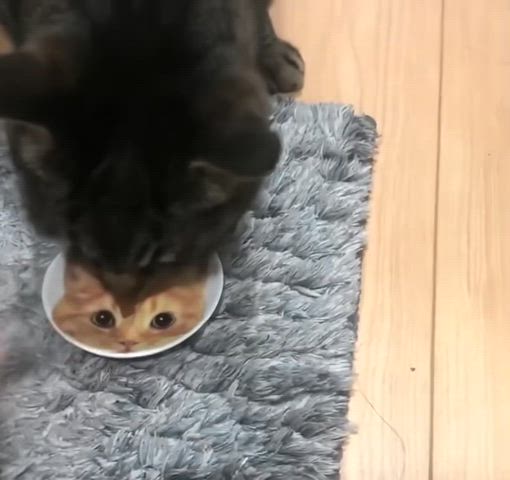 ❤️ ブルーハワイ?いちご?メロン?