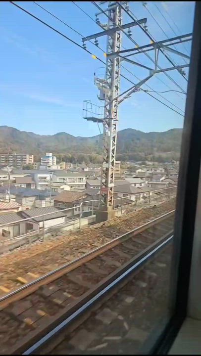 みやびのお出かけ動画①📸 みやび🐰