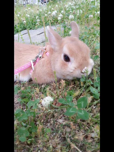 おまけ動画①♡みやび♡