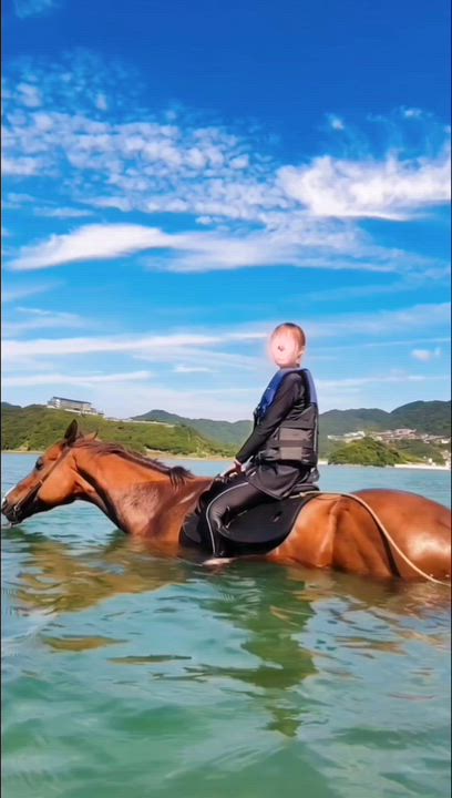 淡路島のお馬さん🐴🌊みやび🐰
