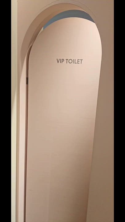 刈谷ハイウェイオアシス🎡みやび🐰