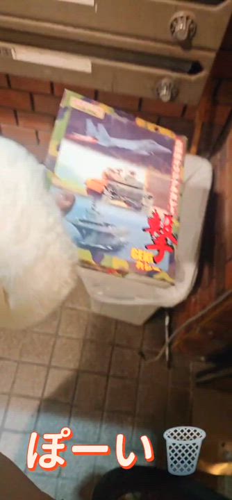 滋賀のお兄さんへ🐷🍛 みやび💓‪