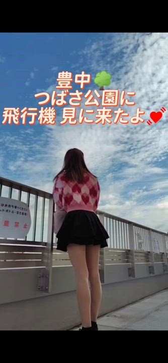 豊中つばさ公園🏞✈️みやび🐰