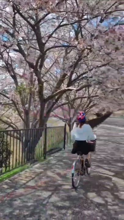 桜並木をサイクリング🌸 みやび🐰