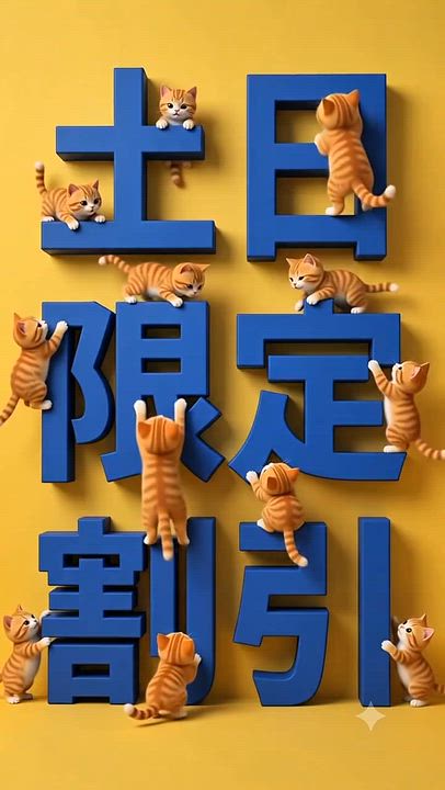 本日は*土日割