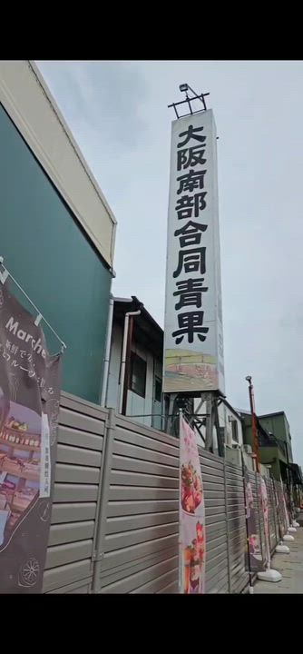 堺の動画②📸  みやび🐰