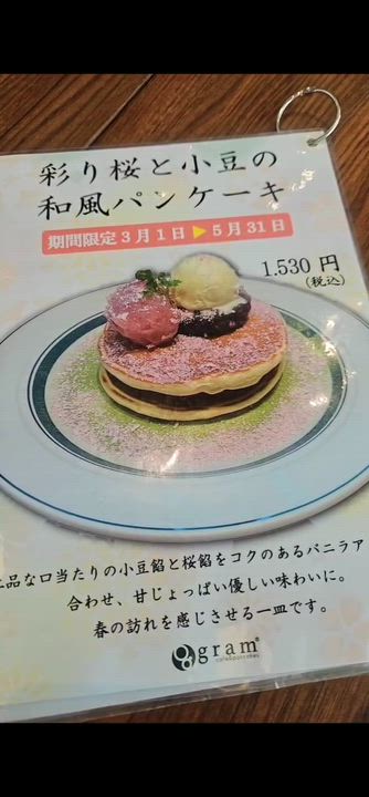  大阪城の動画①📸 みやび🐰