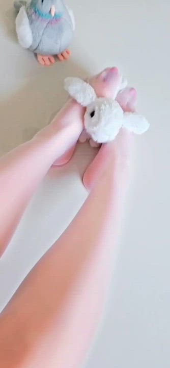 パンスト動画②📷みやび🐇