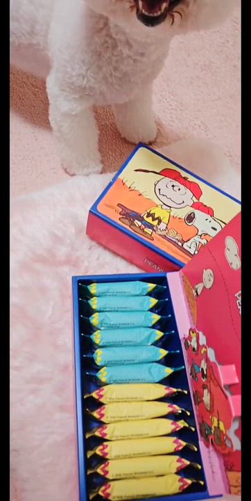 可愛いお菓子🩷みやび🐰