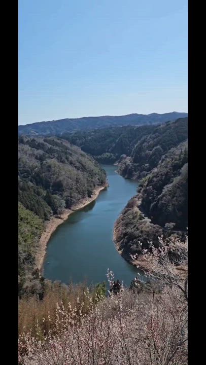 動画②📸 みやび🐰