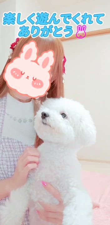 みやび