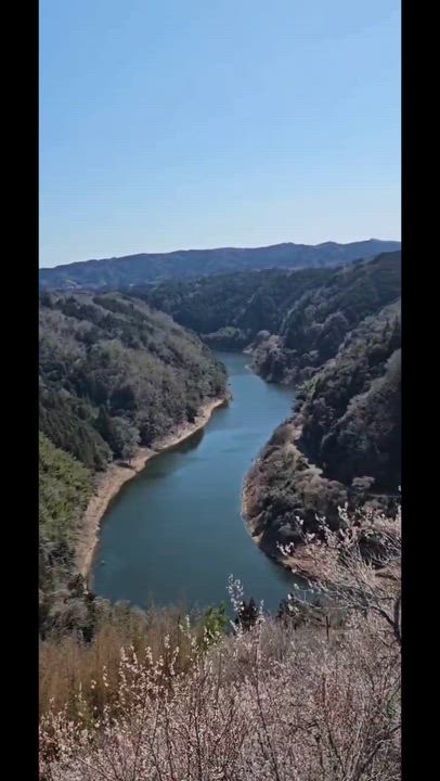 休日動画①📸 みやび🐰