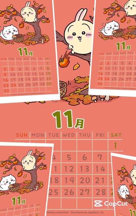 11月 ·͜· ꕤ︎︎