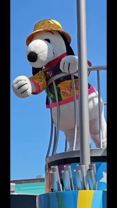 休日動画③📸みやび🐰