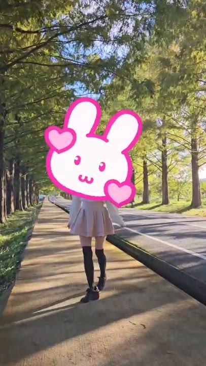 滋賀県 メタセコイヤ並木🌳📸みやび🐰