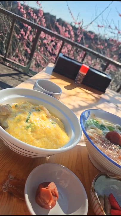 動画③ 📸 みやび🐰