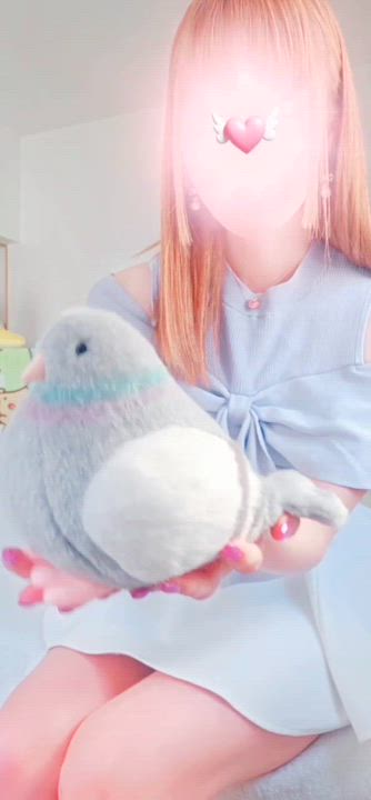 はとぽっぽ🕊 みやび🐰