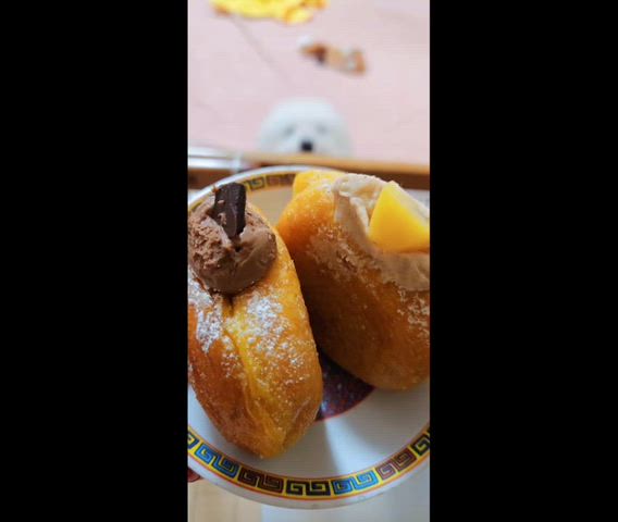 ハム太郎からドーナツ🍩みやび🐰