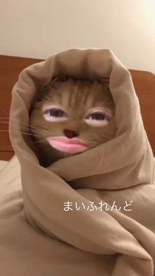ミイナ